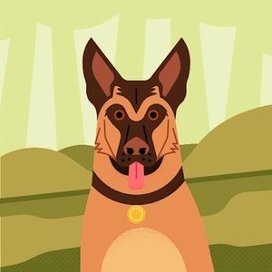 Meet your Posher, Ashlyn